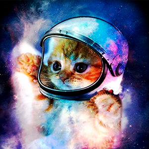 Space Cat!